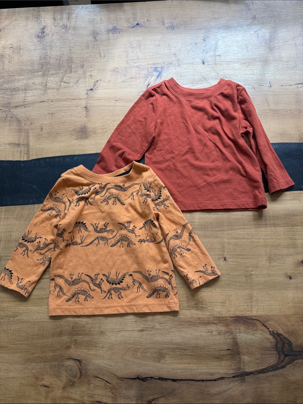 Cat & Jack Rust and Orange Long-Sleeve Tops - Dinosaur Print Set